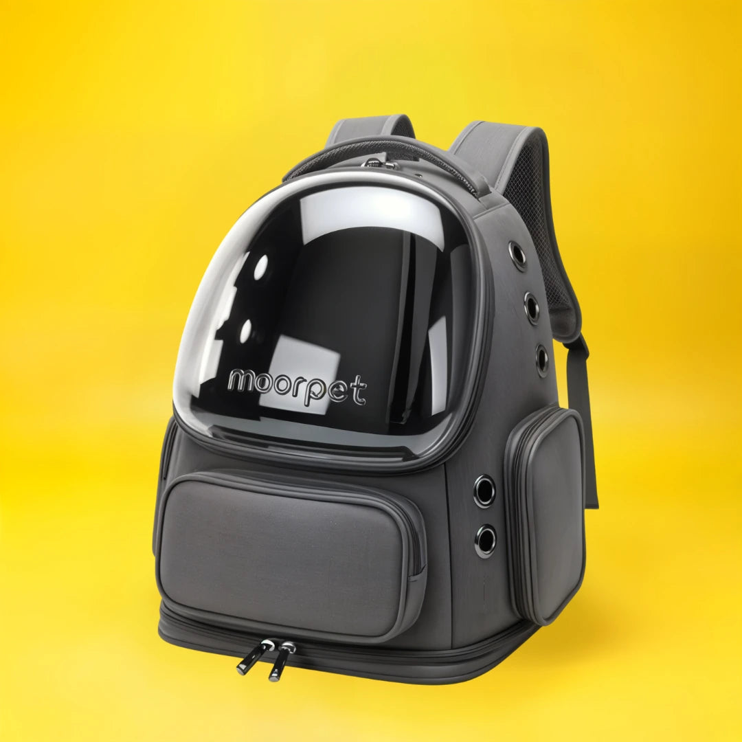 Miaoussphère –  Sac à dos à bulle pour chat