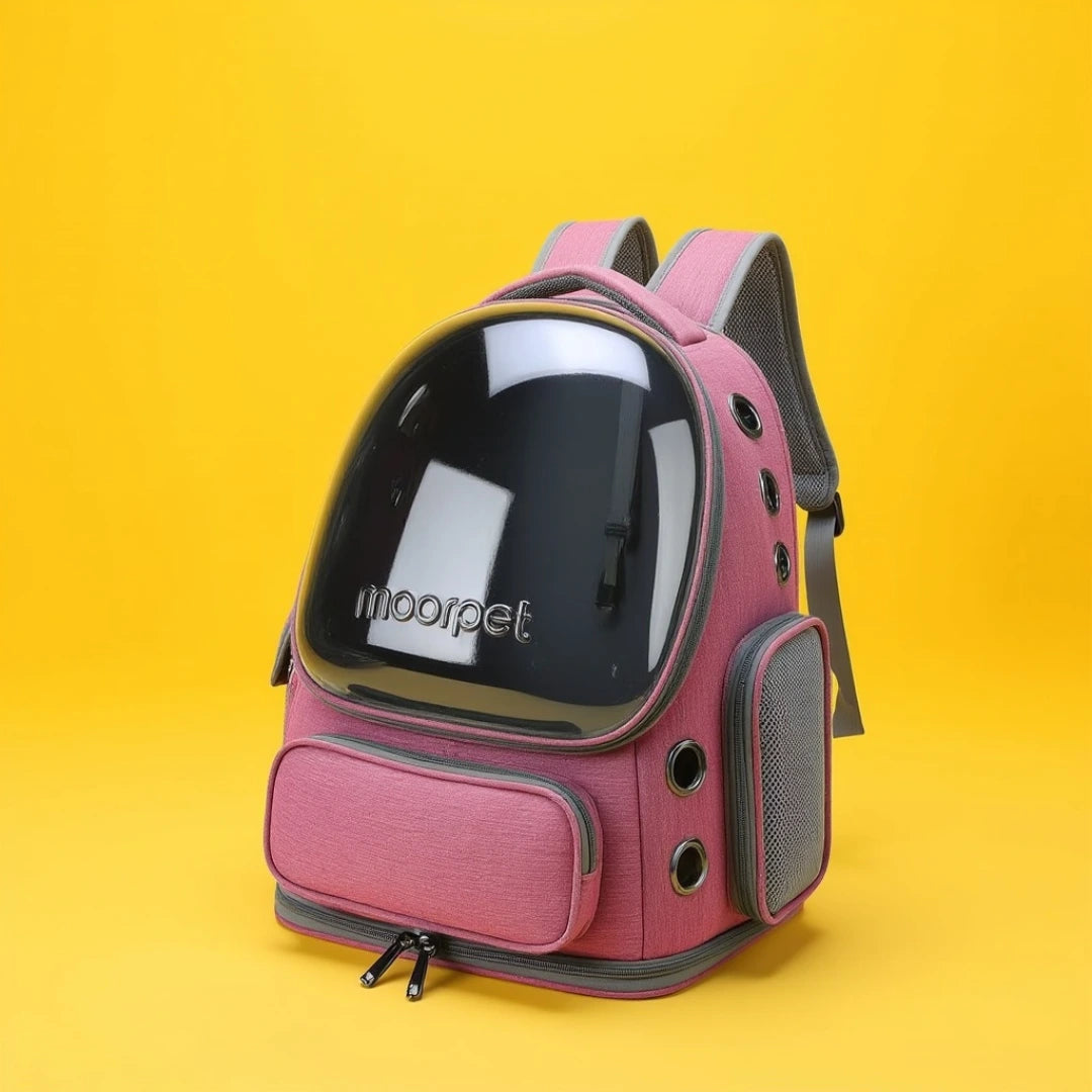 Miaoussphère –  Sac à dos à bulle pour chat